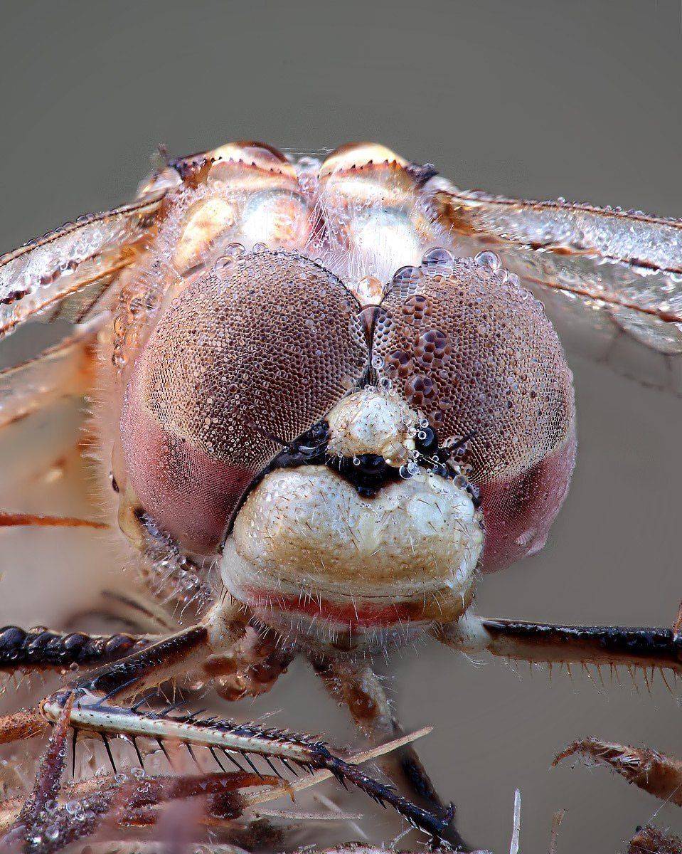 , Вадим Ходаковский