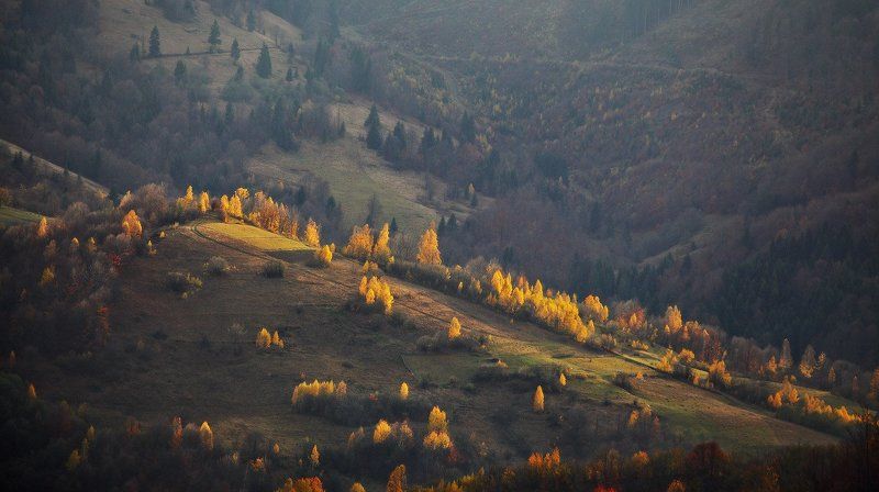 Вечер в начале ноября фото превью
