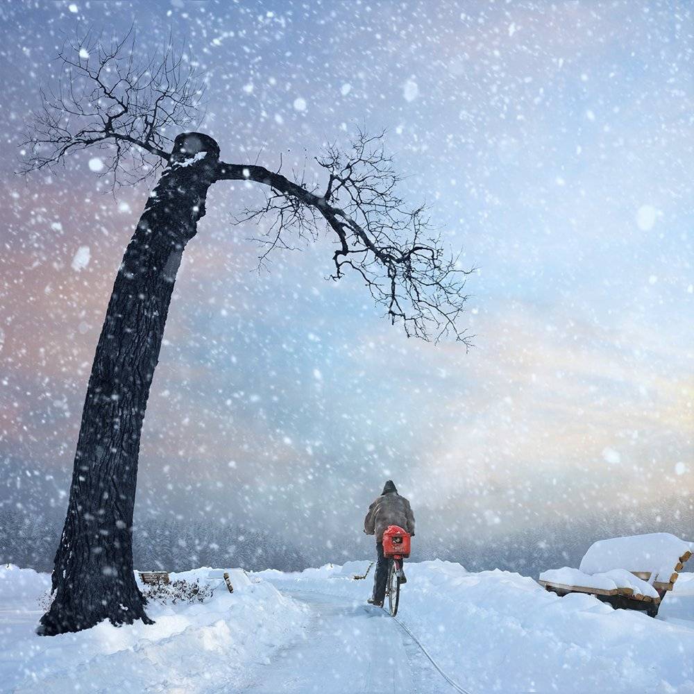 , Caras Ionut