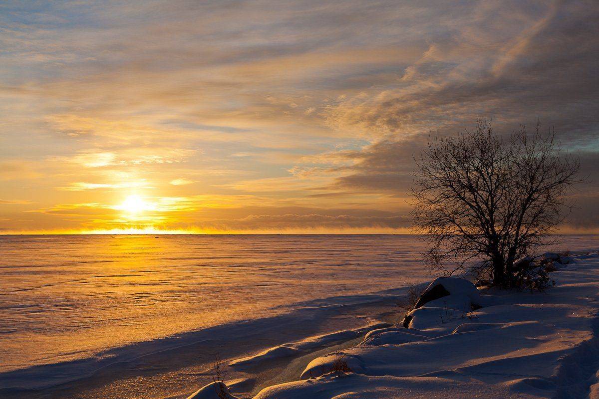 рассвет, Алексей