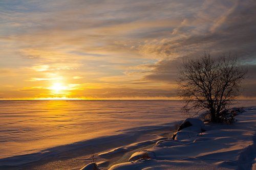 Декабрьский рассвет на Финском заливе