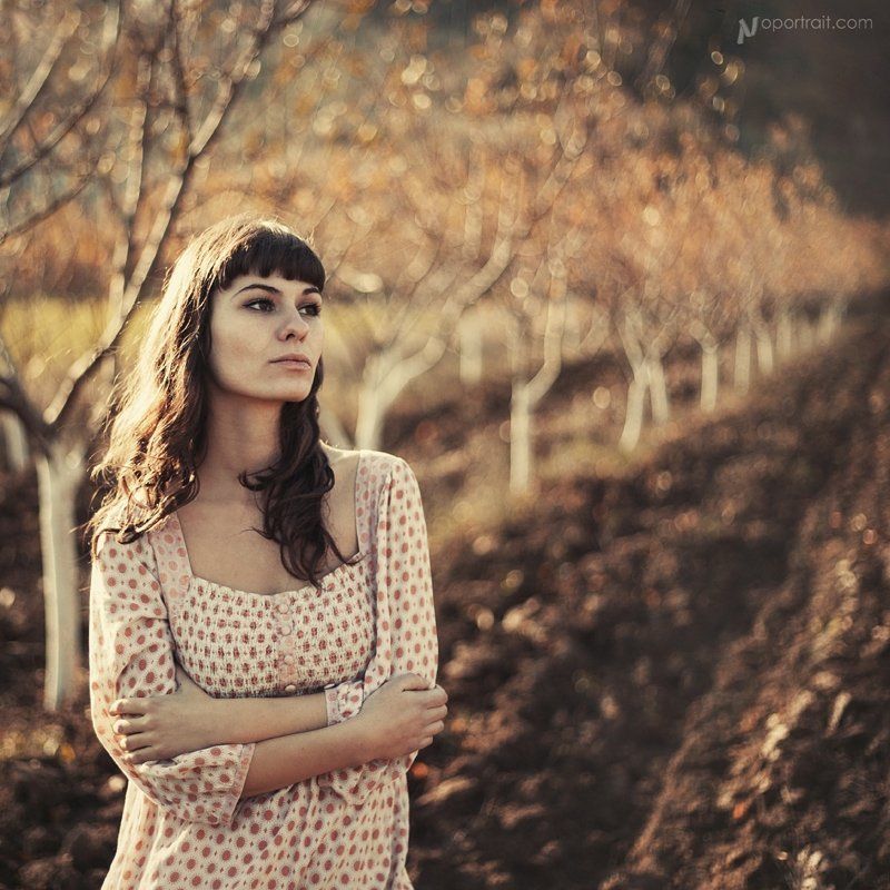 ...... фото превью