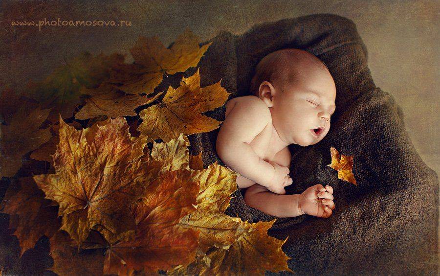 , Ирина Амосова