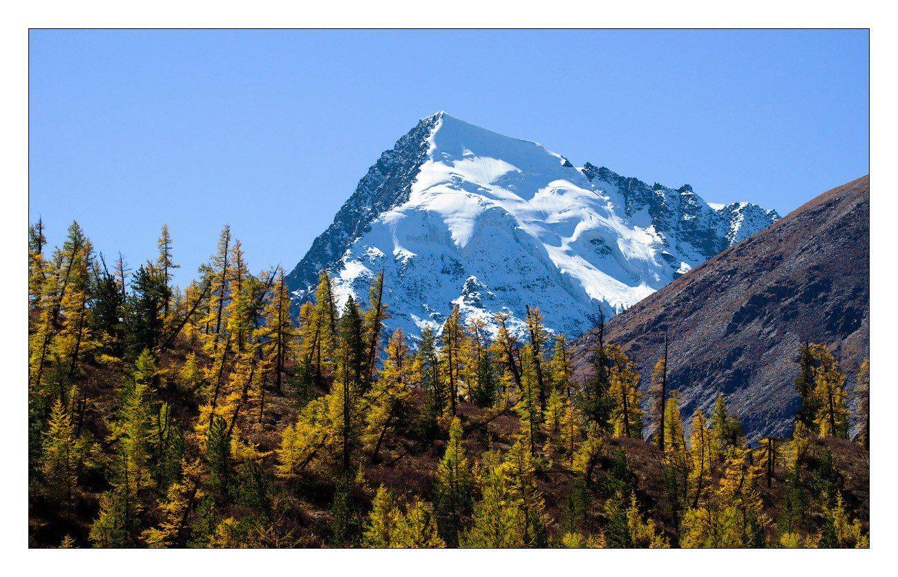 , Владимир Ляпин