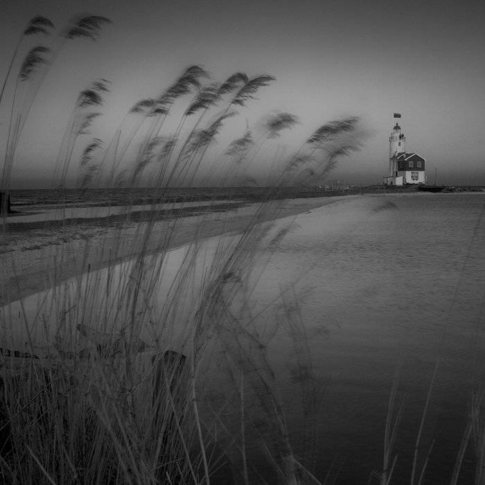 , Waldemar Wienchol