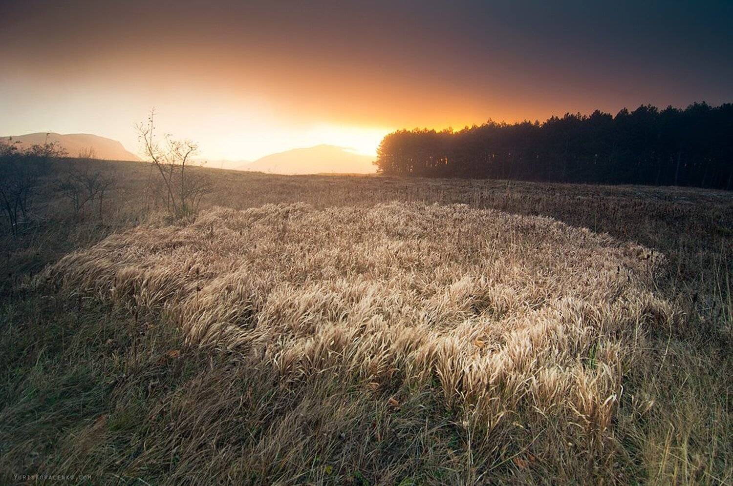 kovalenko, крым, пейзаж, закат, трава, осень, Юрий Коваленко