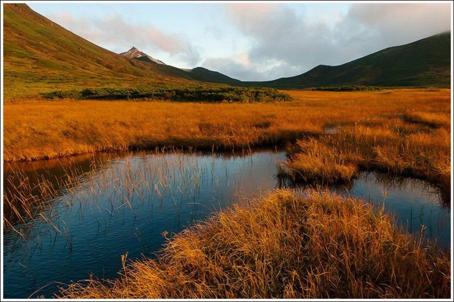 , Ольга Куликова