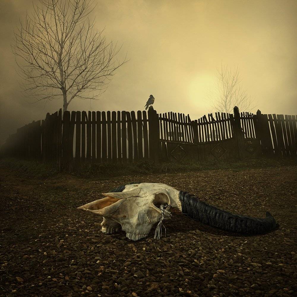 , Caras Ionut