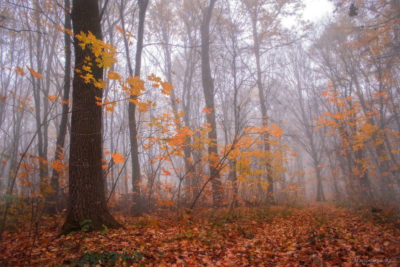 **** фото превью