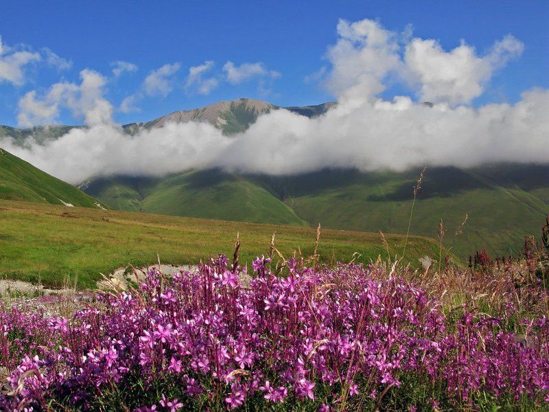 Луга Осетии фото превью