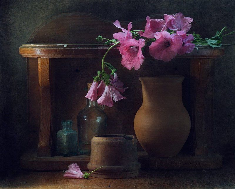 фото превью