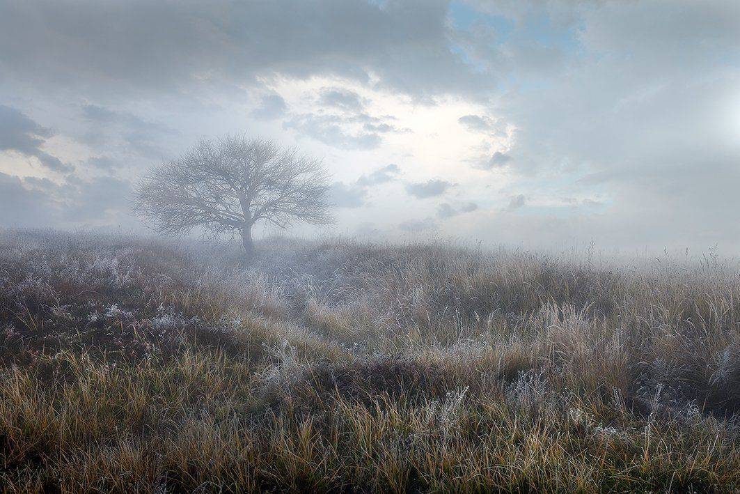 , Петр Антонович