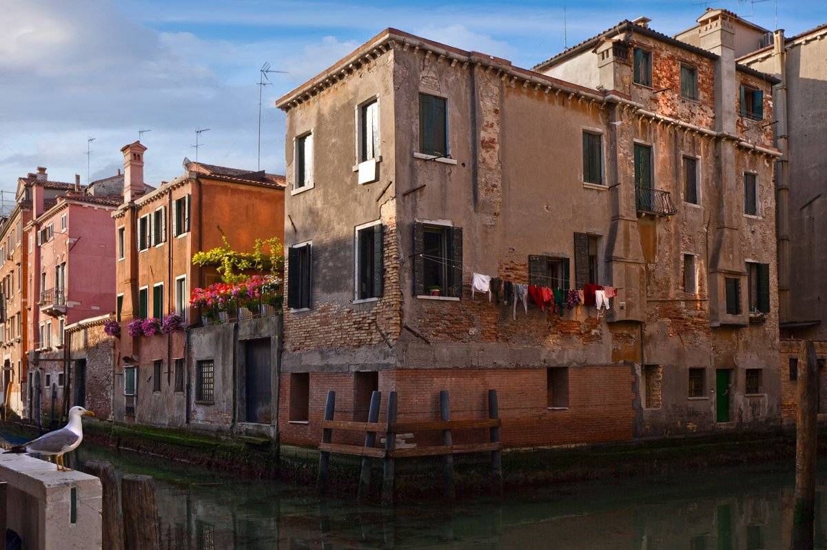 , Людмила Прокофьева