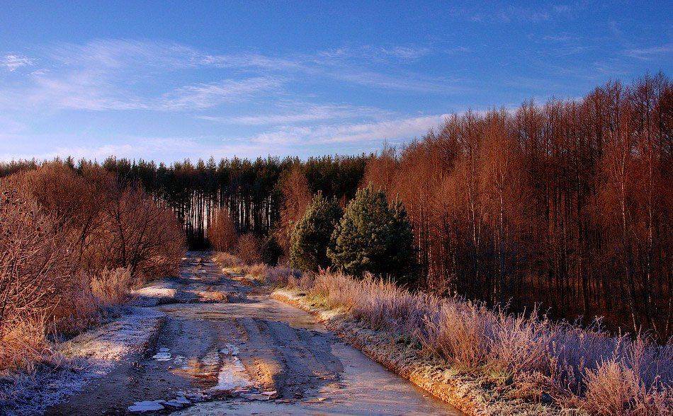 , Октай Гусейнов