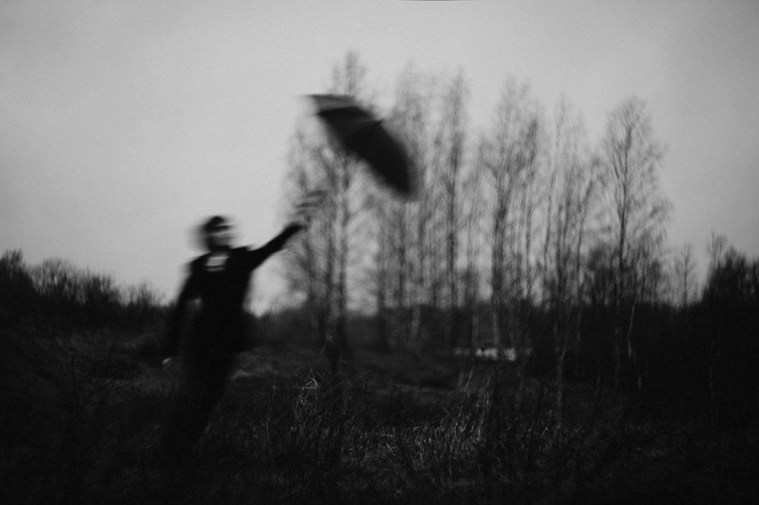 , Тимофеевский Валерий