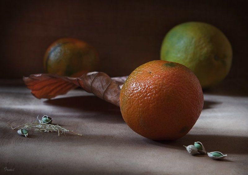 мандарин, сухой, лист, лимон, мандариновые, косточки Мандарин фото превью