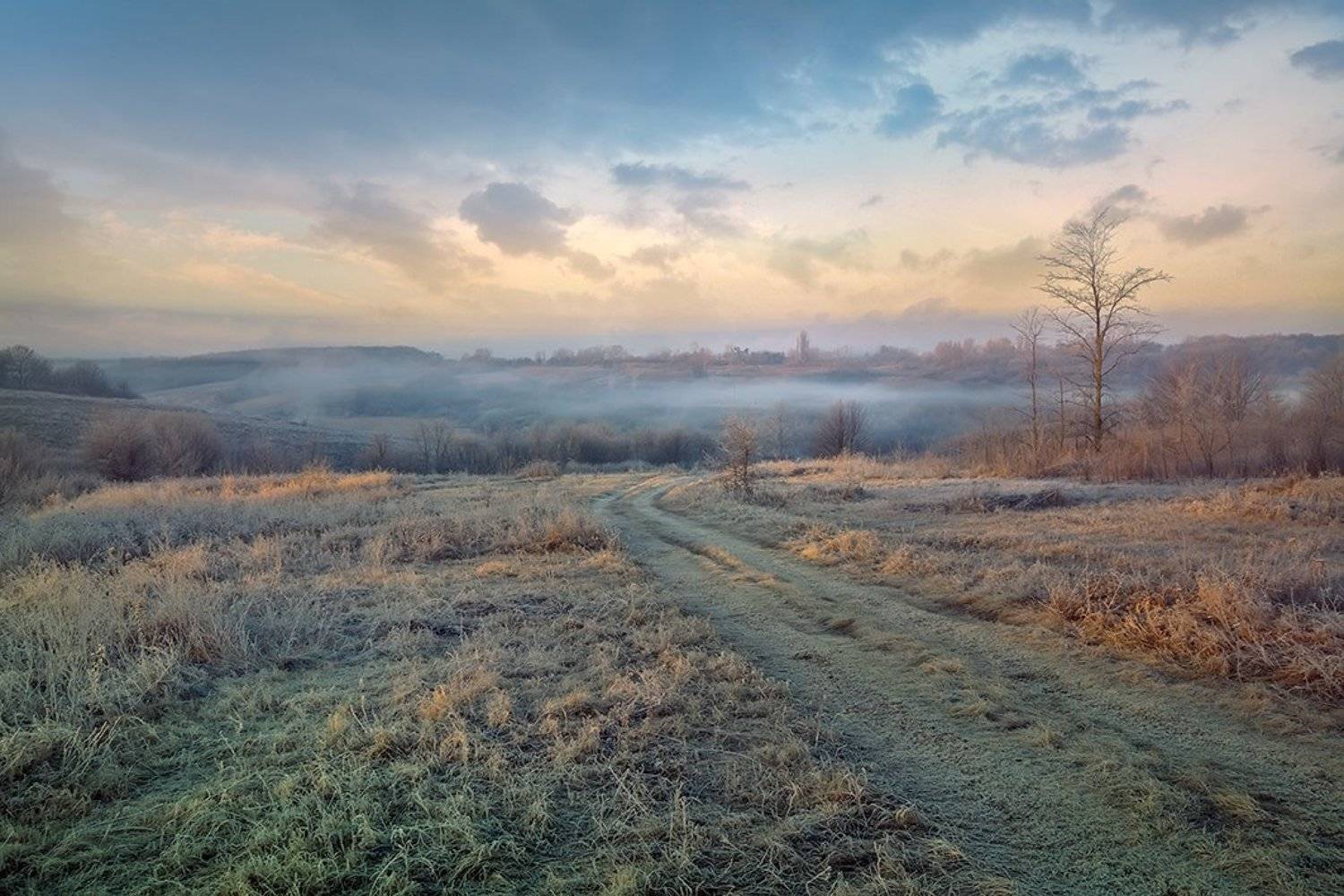 , Петр Антонович