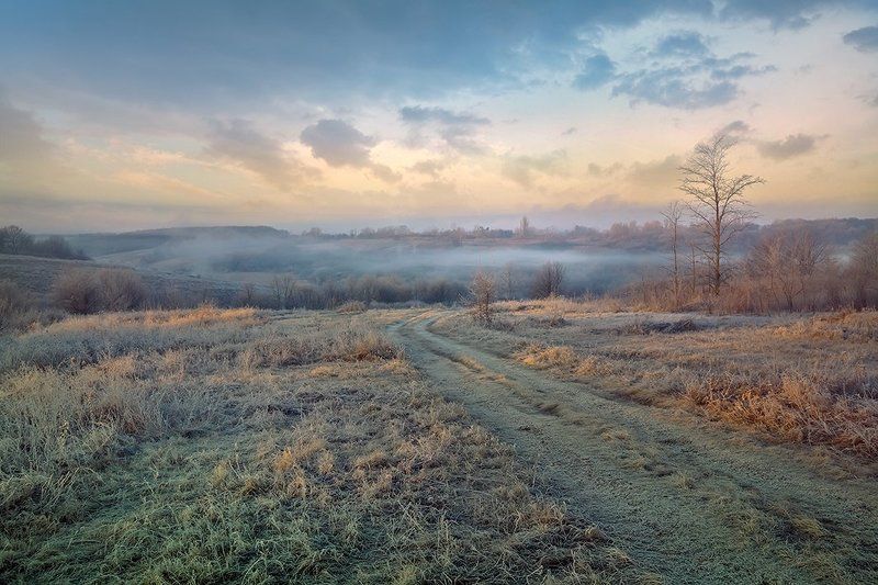 *** фото превью