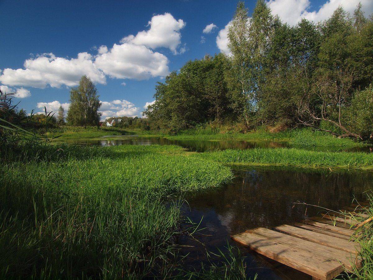 , Владимир Перепечаев