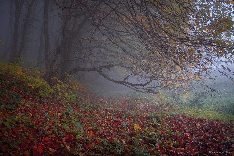 **** фото превью