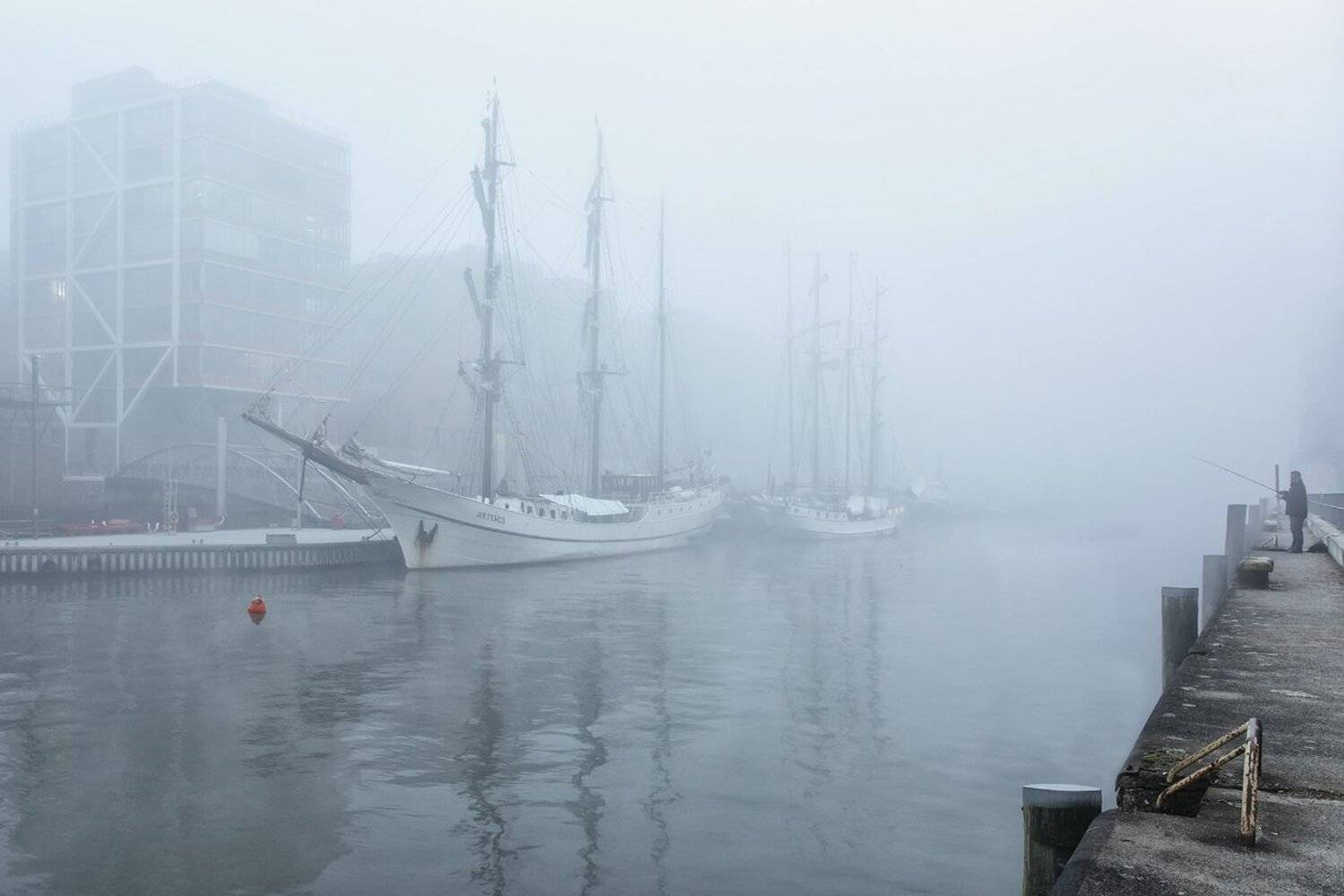 , Игорь Дубровский