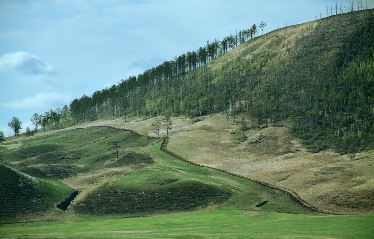 , Николай Морский