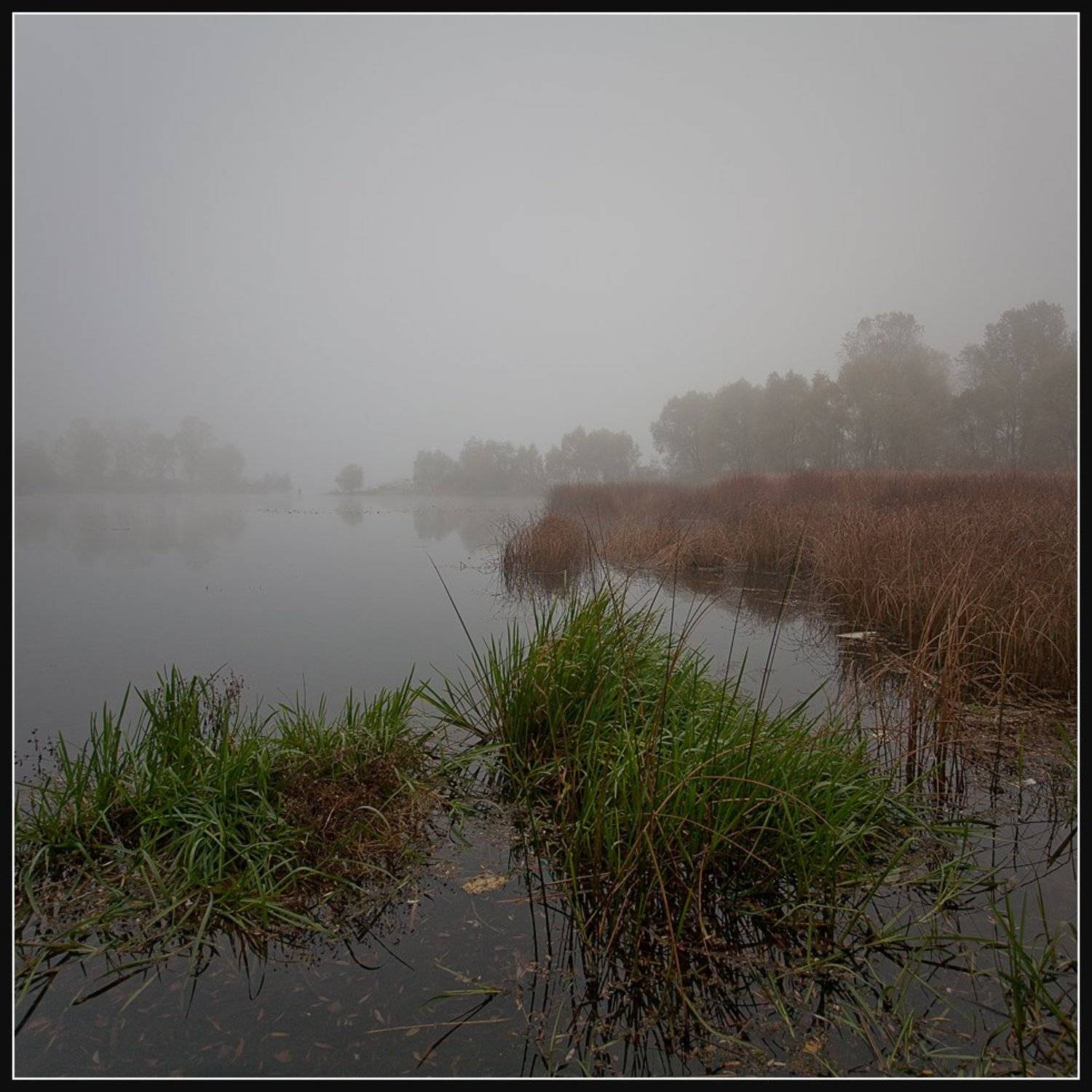 , Алексей Соловей