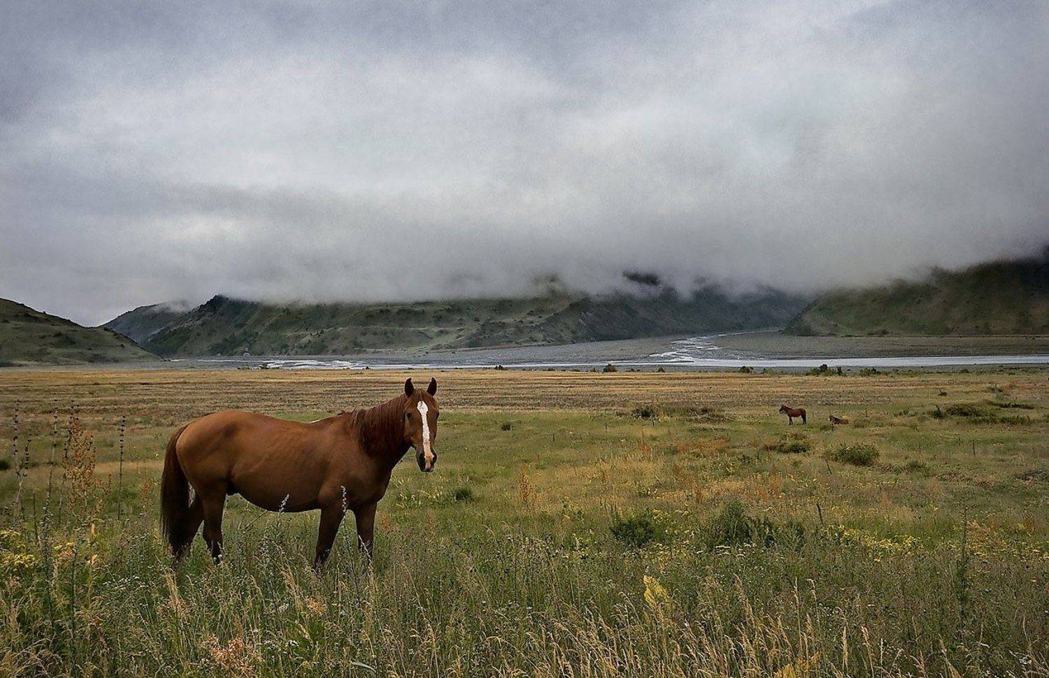 , Андрей Chogori Громов