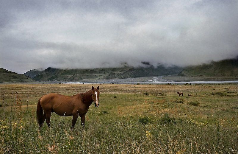 Такой разный Памир фото превью