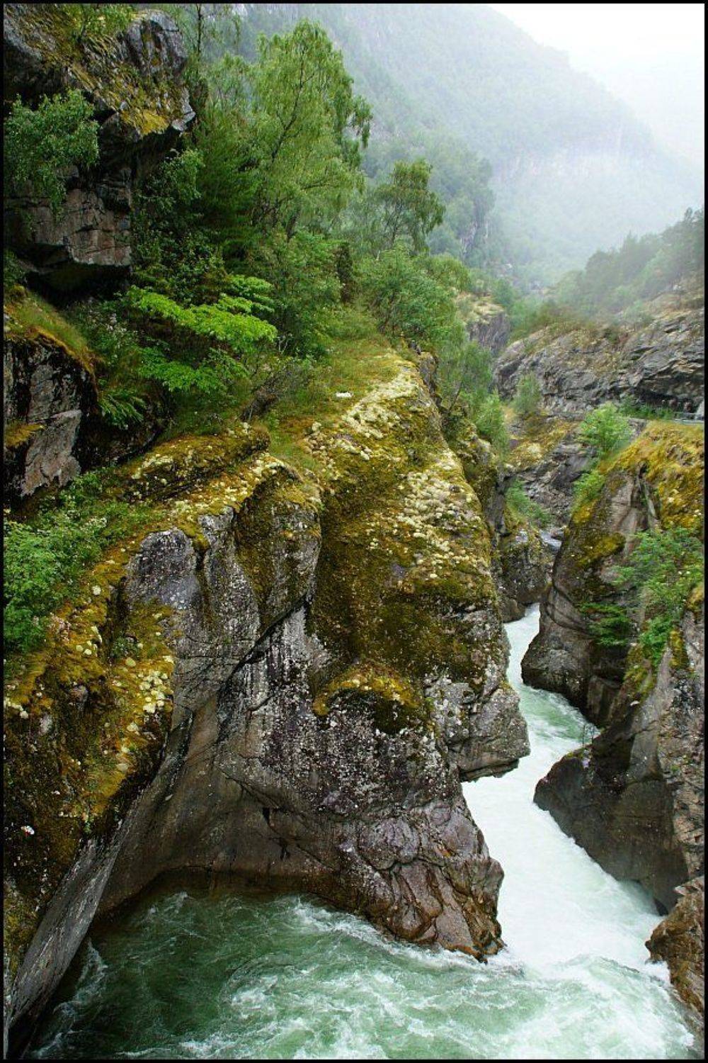 норвегия, Олег Потехин