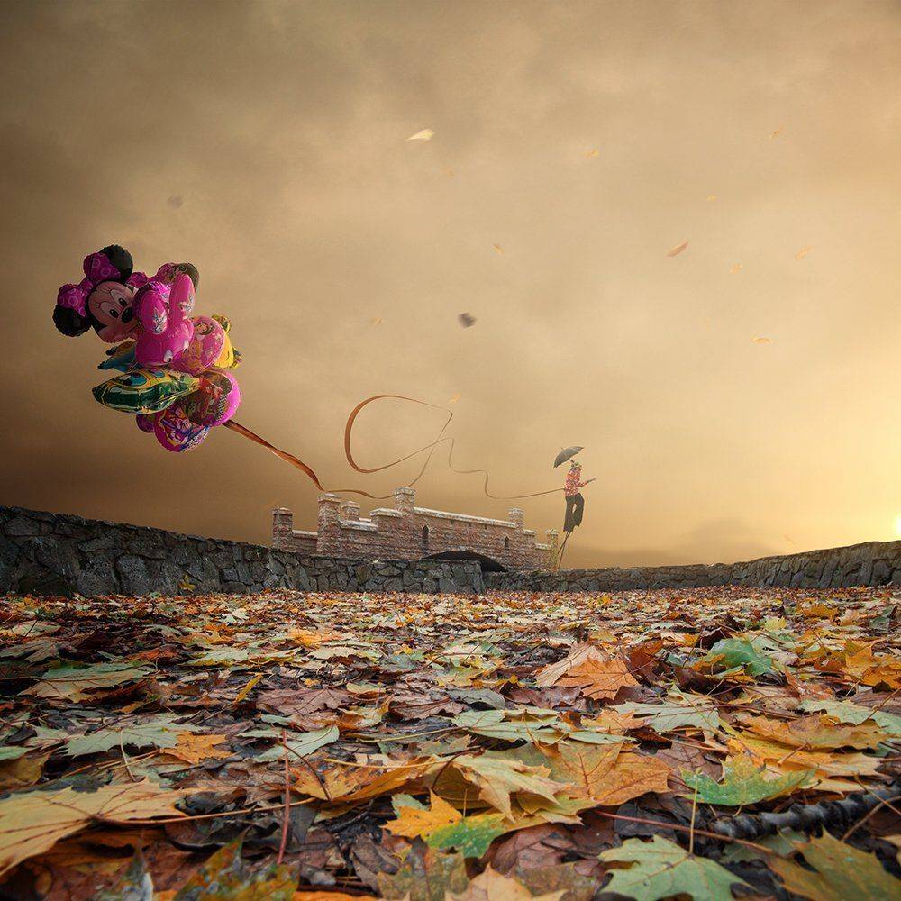 , Caras Ionut