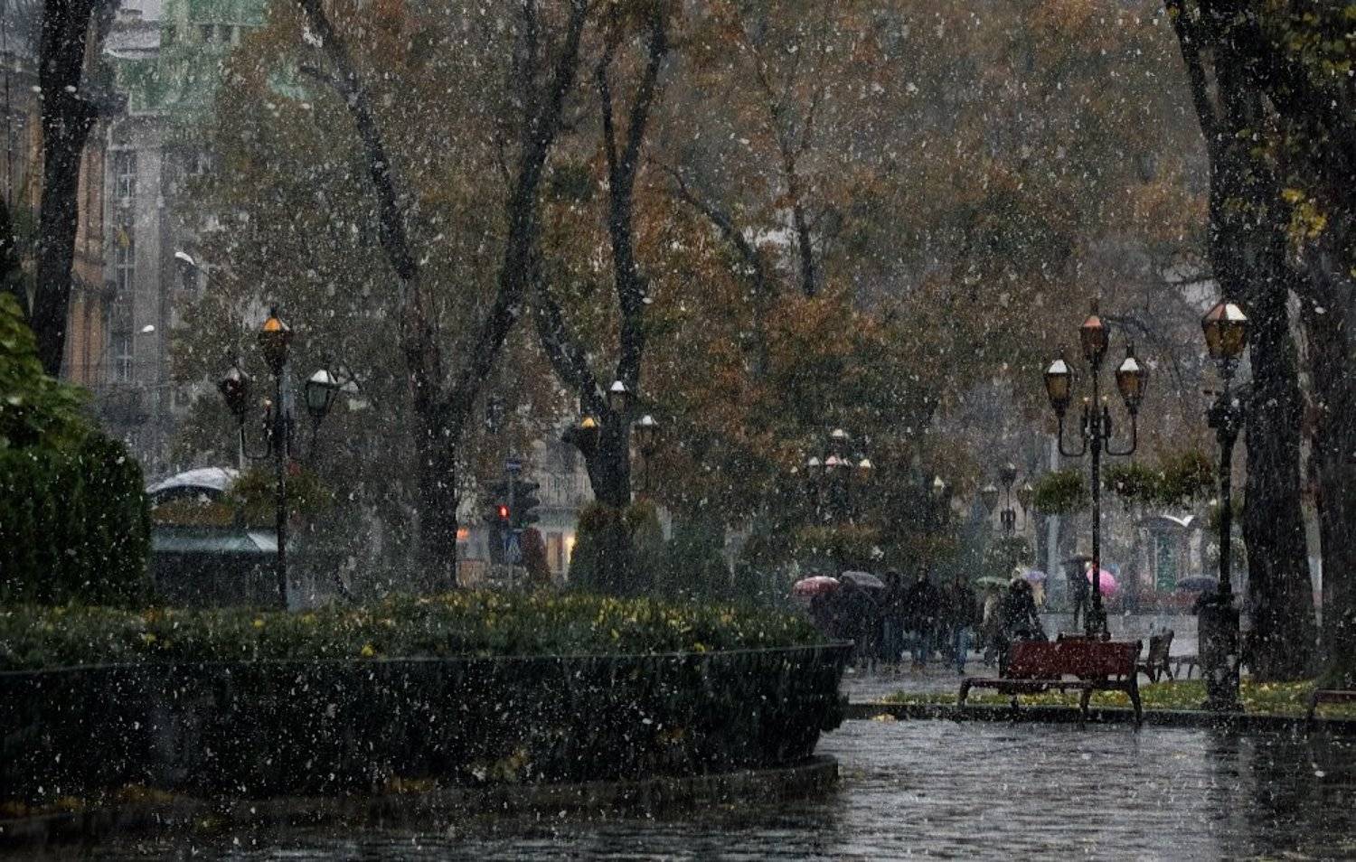 , Валерий Бредюк