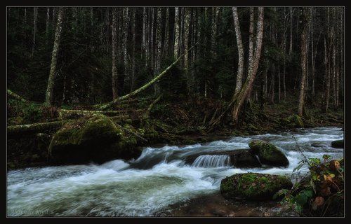 Во сумраке Кавказских гор...