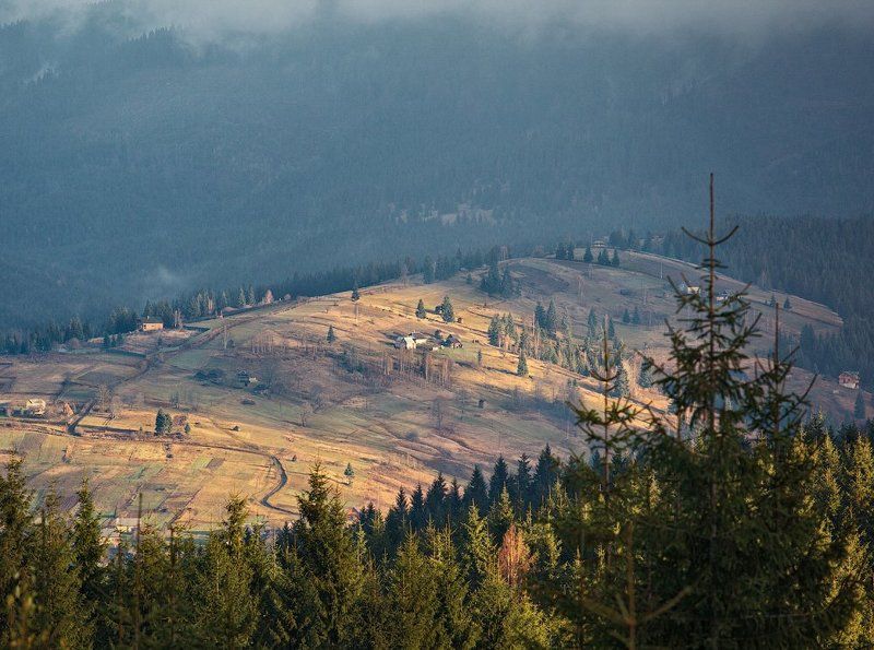 карпаты, осень, утро, свет ...Утренняя... фото превью