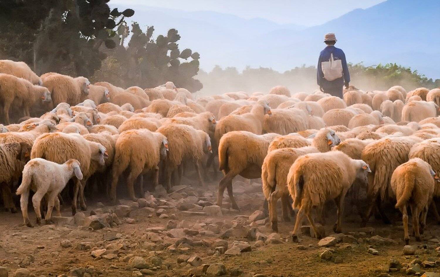 hai, вьетнам, Hai Trinh Xuan