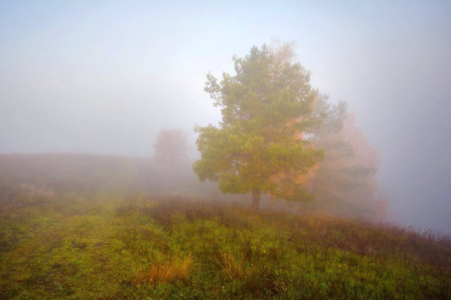 , Артём Маковский