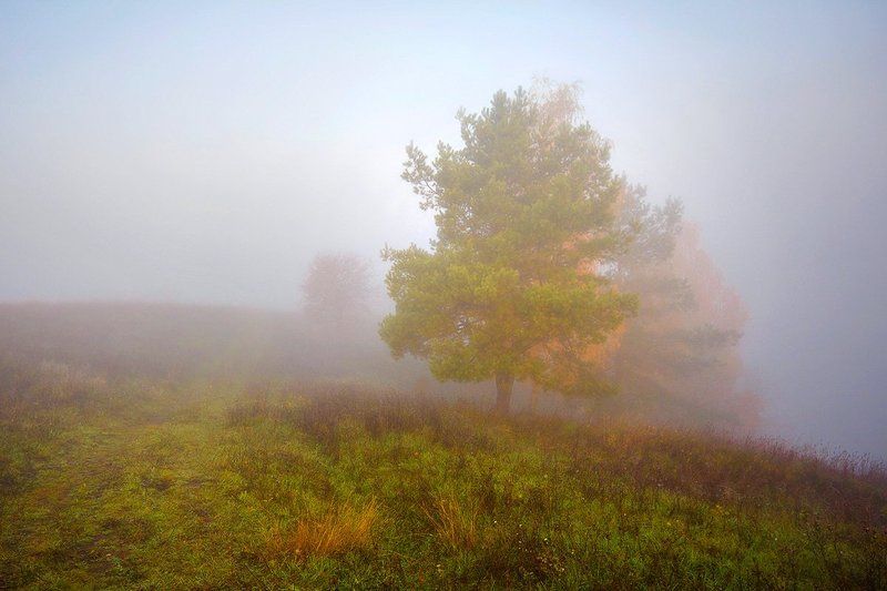 ... фото превью