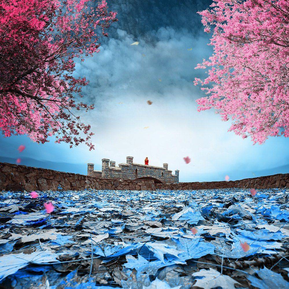 , Caras Ionut