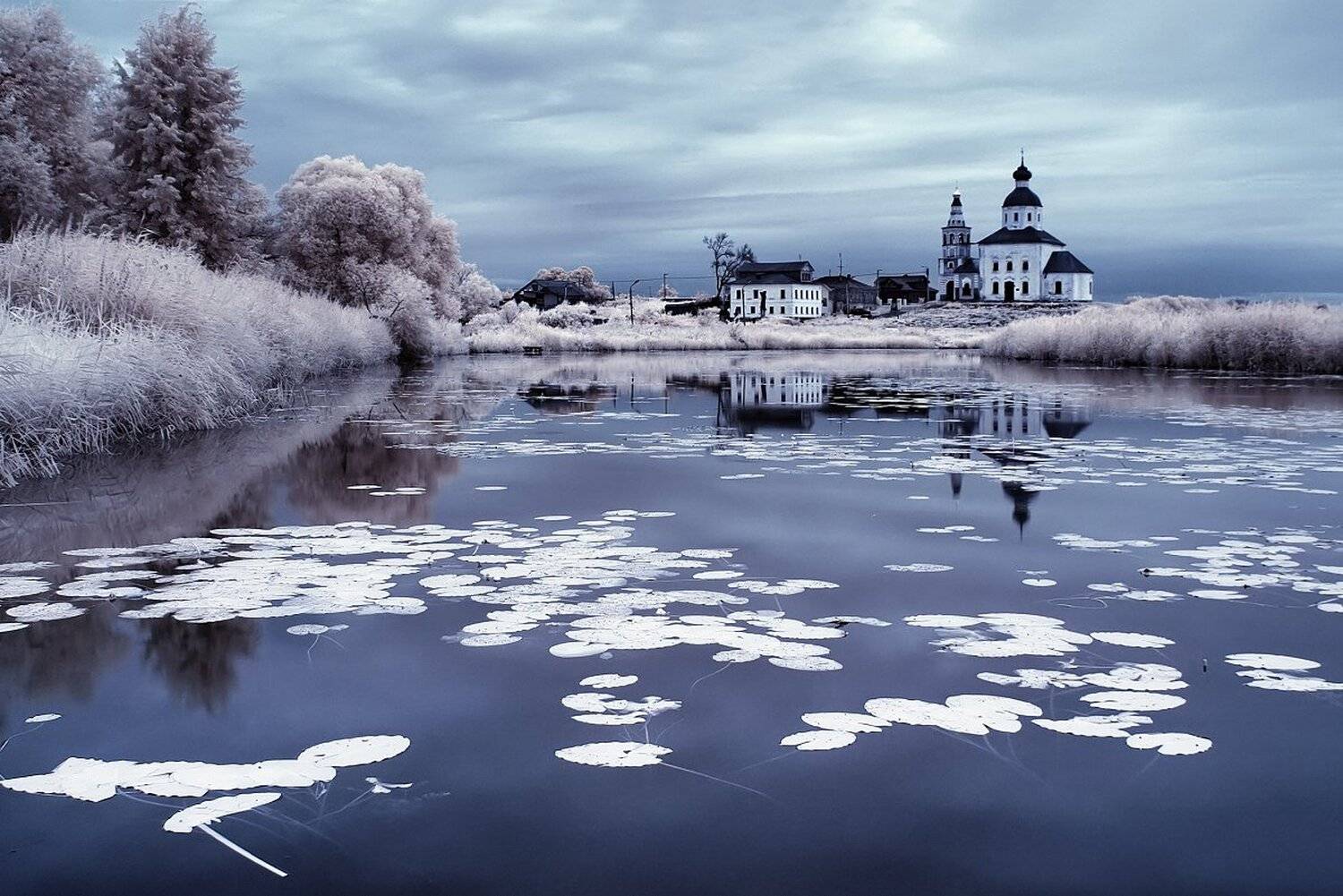 , Максим Евдокимов