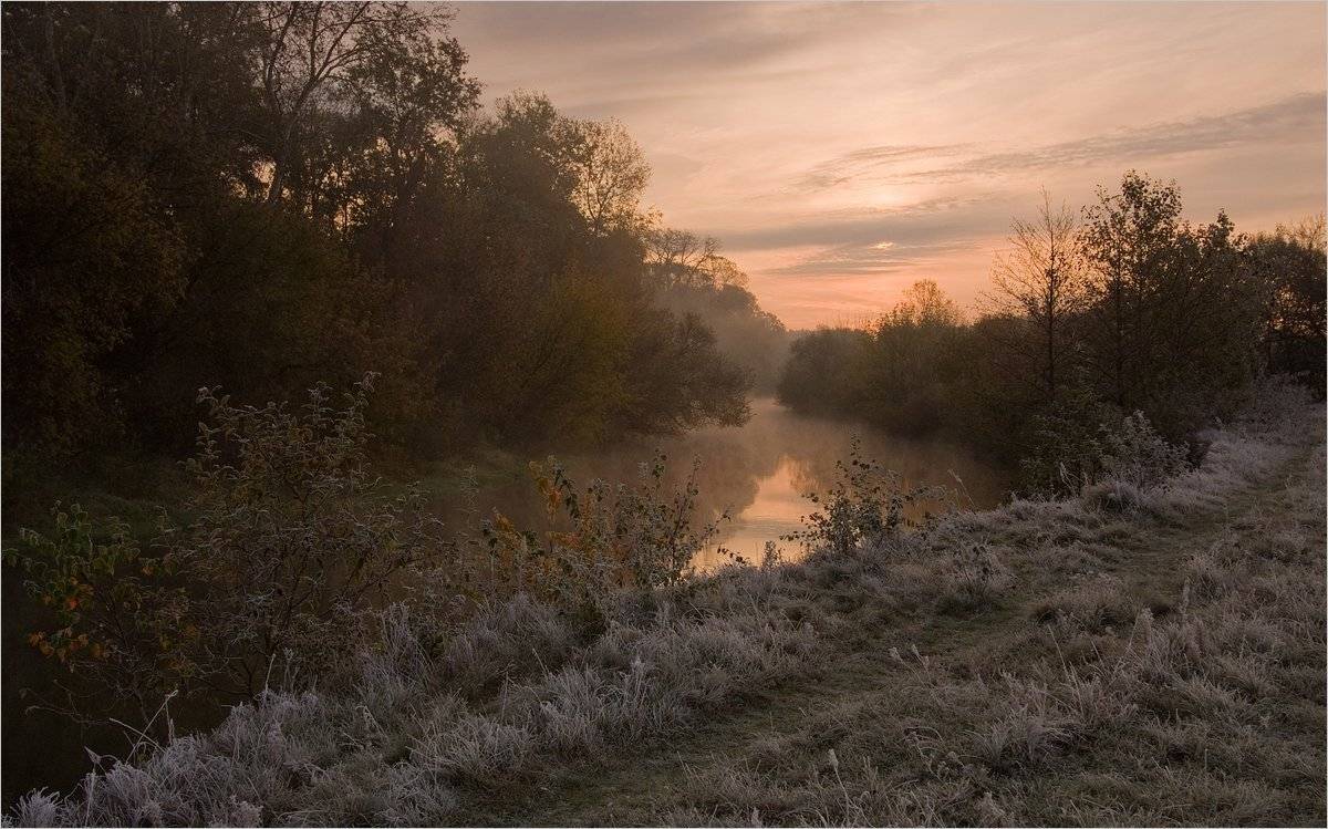 , Николай Шахманцир