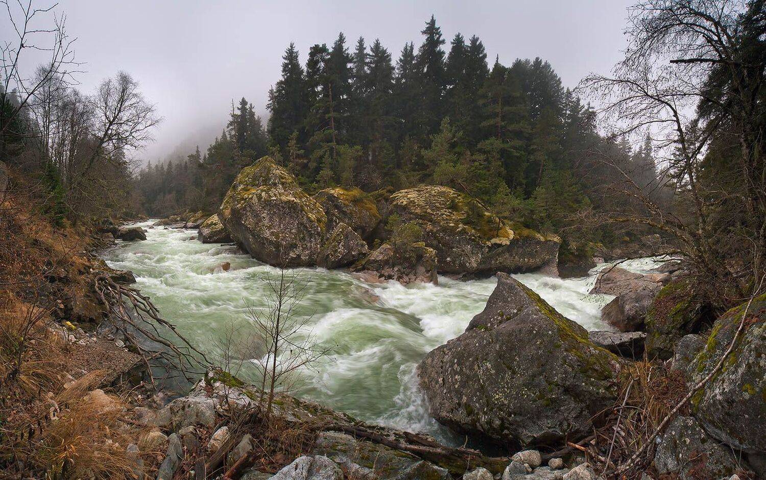 осень, гоначхир, Николай Мысливцев