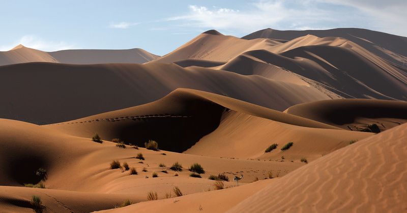 The Hunt for Red Koziołek фото превью