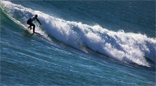 серфингист