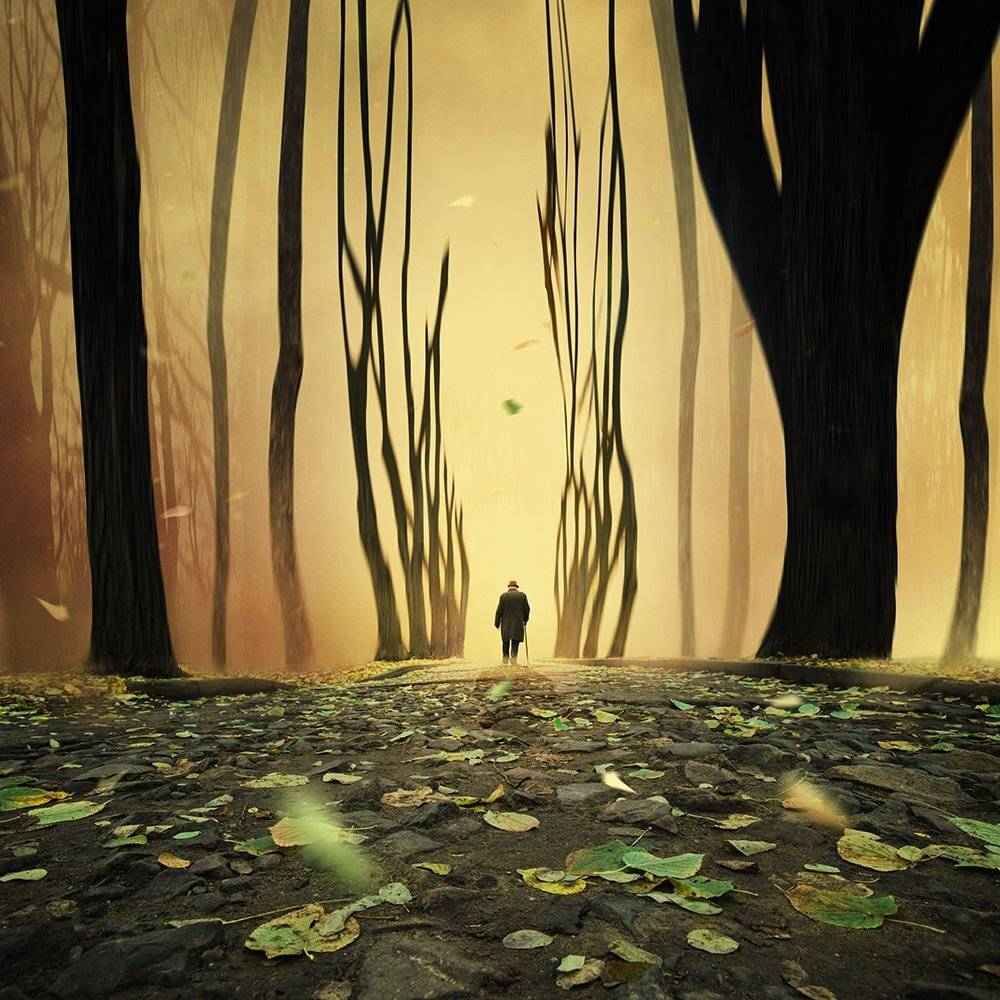 , Caras Ionut