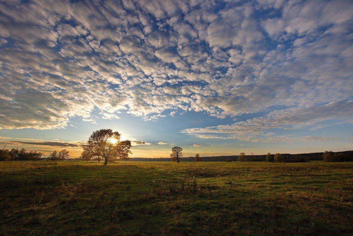 , Валерий Кондратов