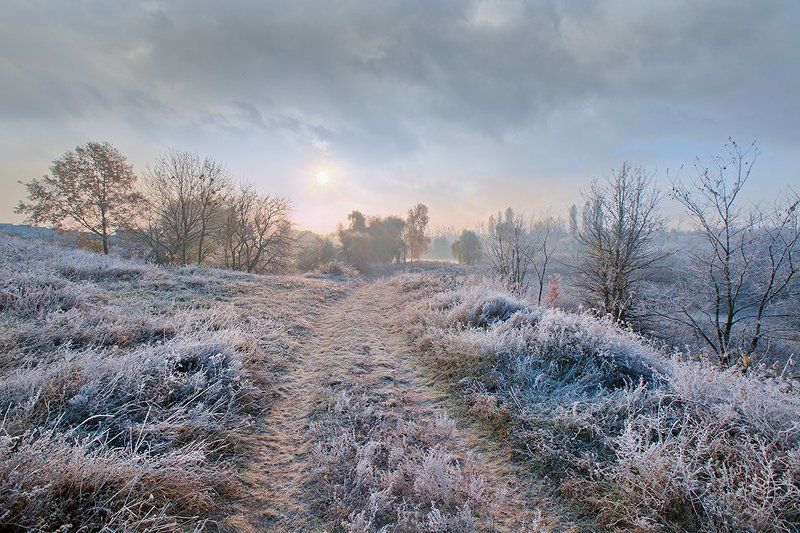 *** фото превью