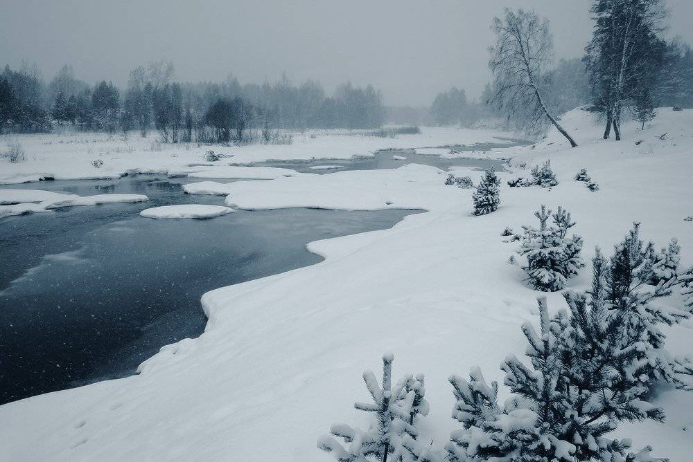 , Николай Морский