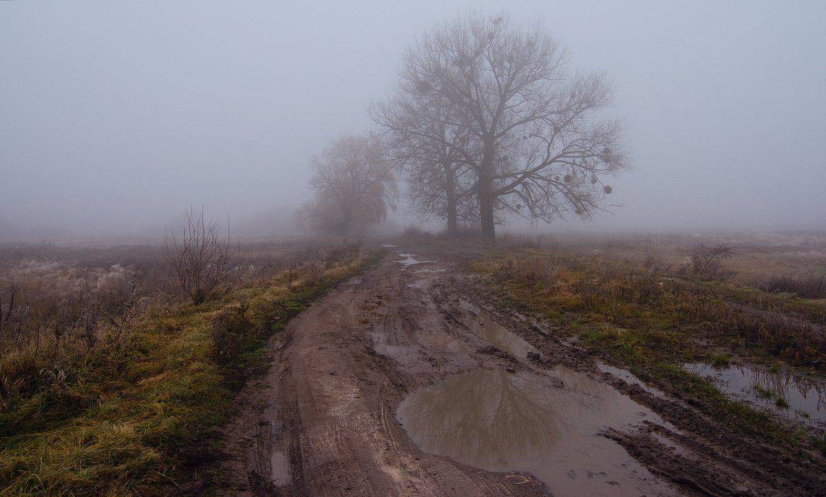 , Николай Шахманцир