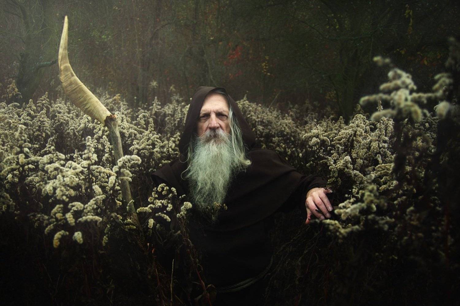 ulfr, wolves, potrait, old, man, wandering, stick, horn, Rafał Kurs