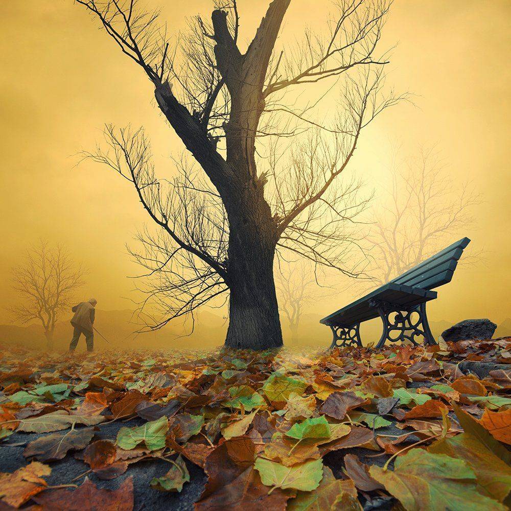, Caras Ionut